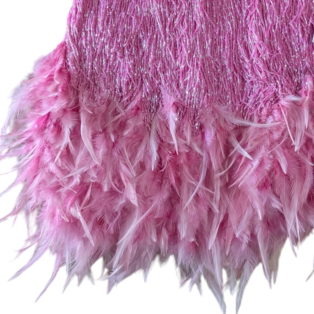 NWT Nadine Merabi Sara Pink Beaded Fringe Feathered Skirt Size XS/2 - Picture 3 of 13